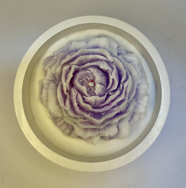 Love Rose - Image 2