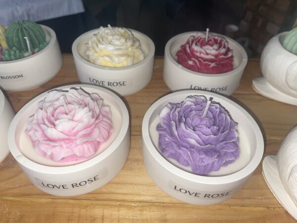 Love Rose - Image 10