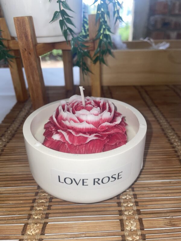 Love Rose - Image 7