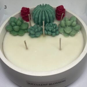 Large Succulent Blossom
